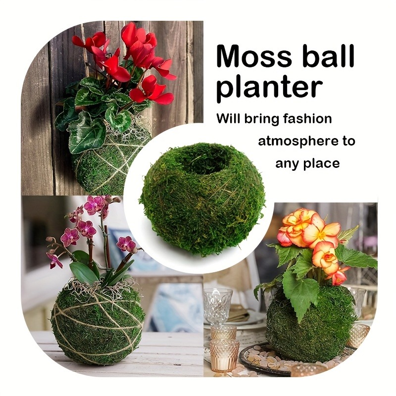 Vaso per muschio artificiale,  - Sphagnum Moss Dry recensione e prezzo