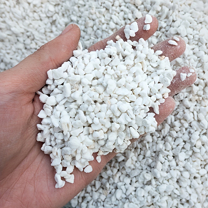 1 Confezione di Perlite da Gia - Sphagnum Moss Dry recensione e prezzo