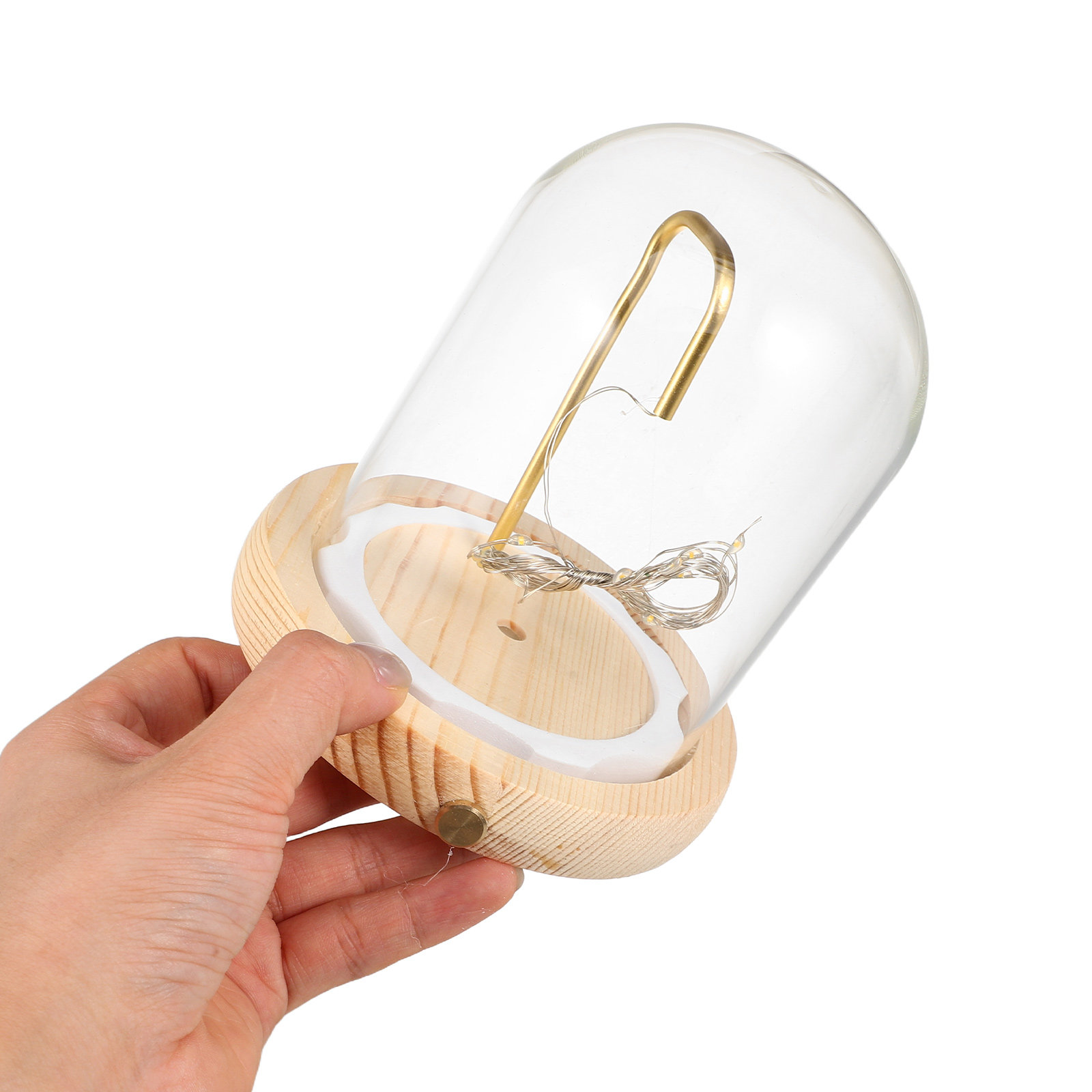 Campana di Vetro Espositiva co - Plastic Dome Clear recensione e prezzo