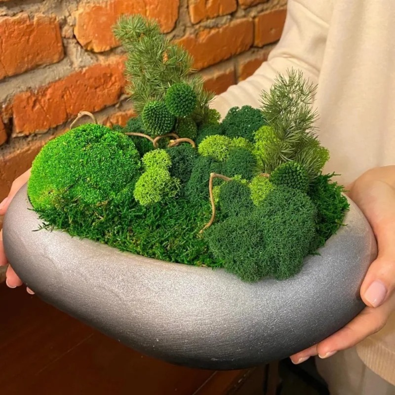 Muschio Verde Artificiale, Mus - Sphagnum Moss Dry recensione e prezzo