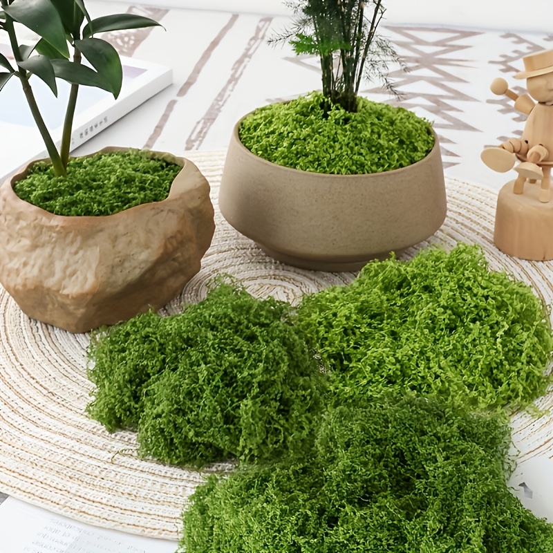 Grande confezione di muschio a - Sphagnum Moss Dry recensione e prezzo